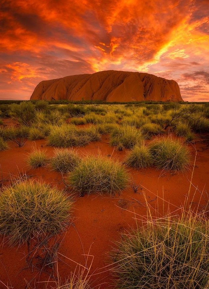 australie-desert-3